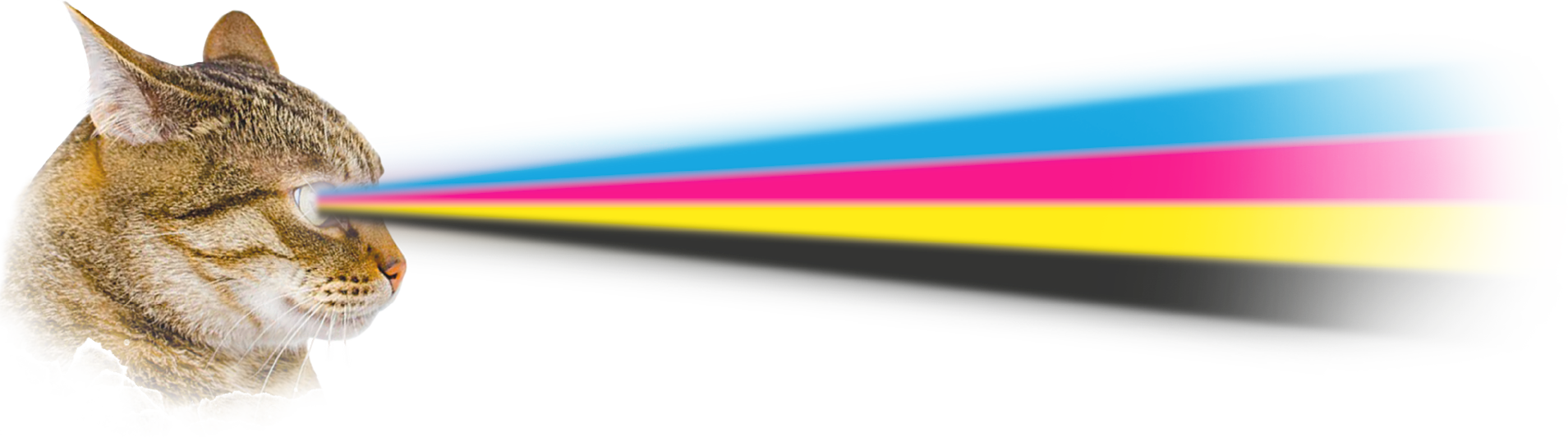 Ctrl PRINT stampa digitale e grafica pubblicitaria a Parma